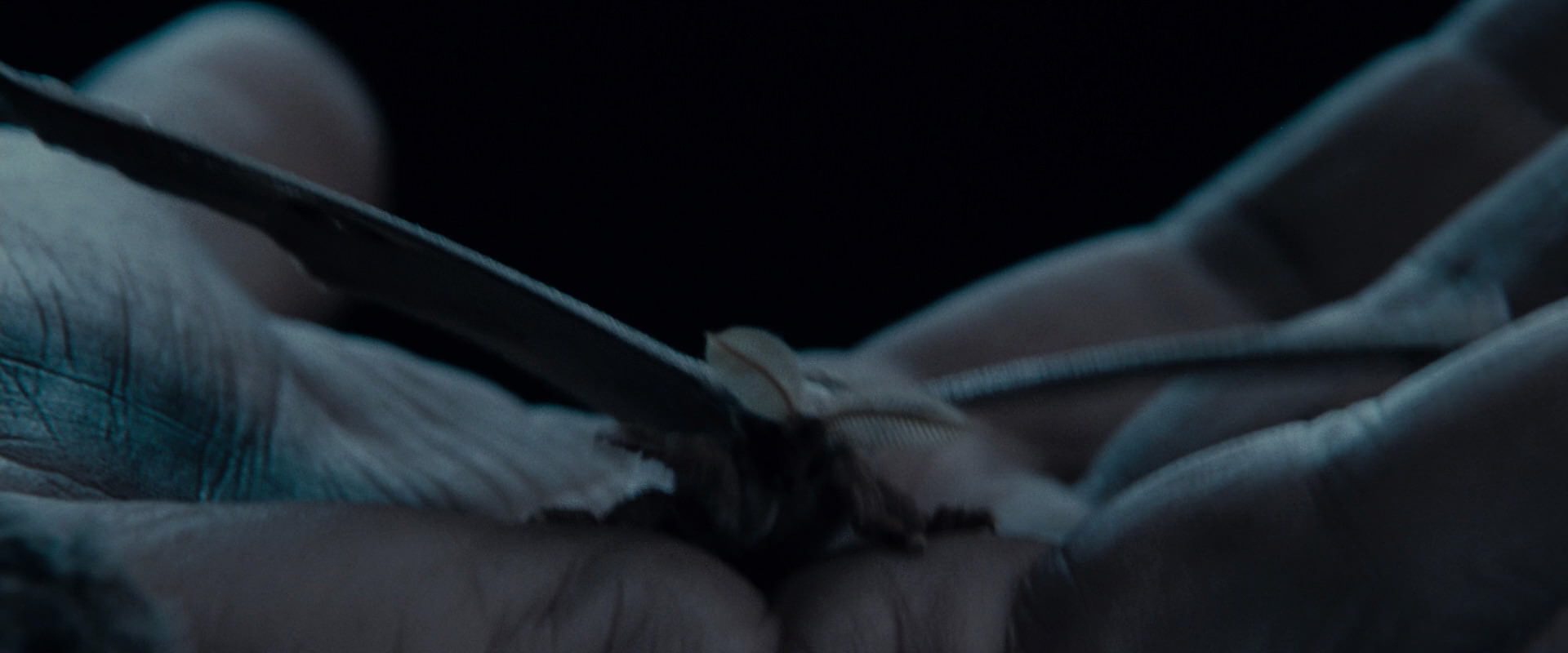 The Lord of the Rings: The Fellowship of the Ring (2001) HD screenshot 8891