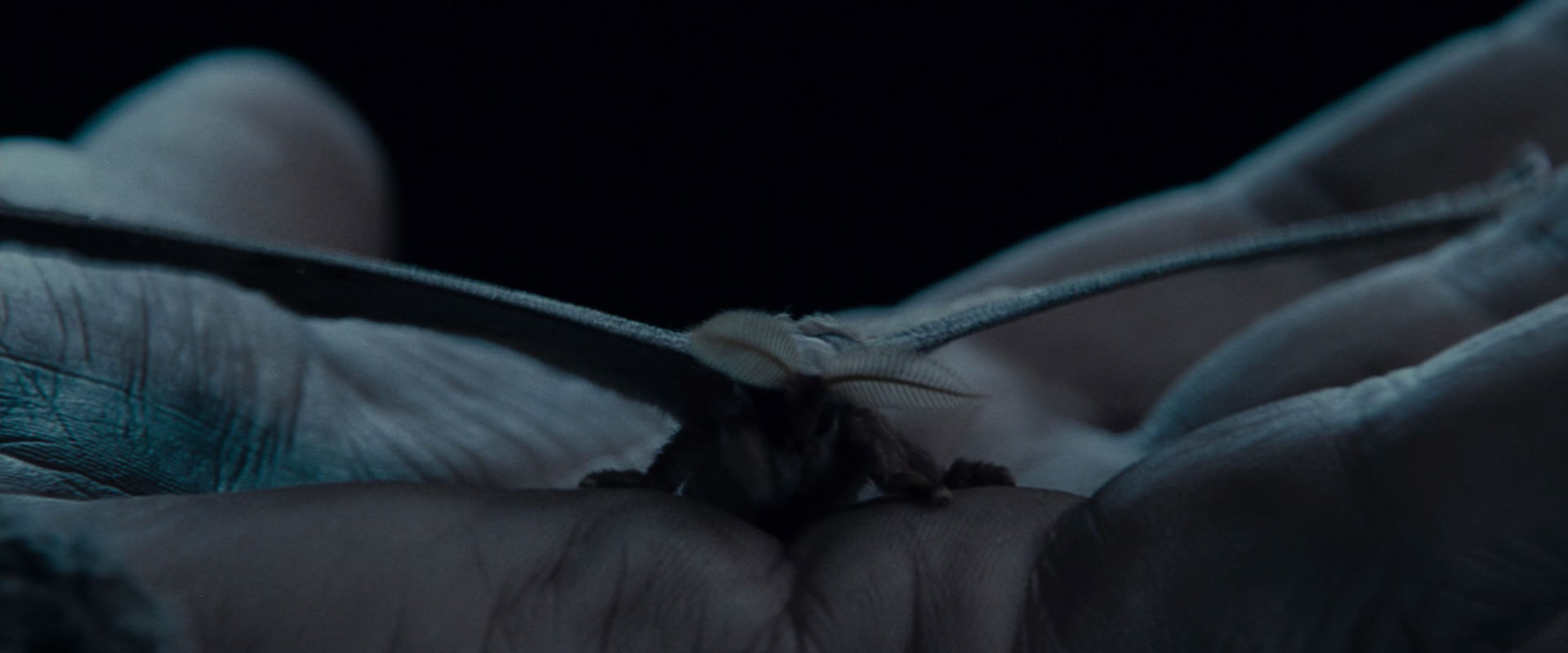 The Lord of the Rings: The Fellowship of the Ring (2001) HD screenshot 8894