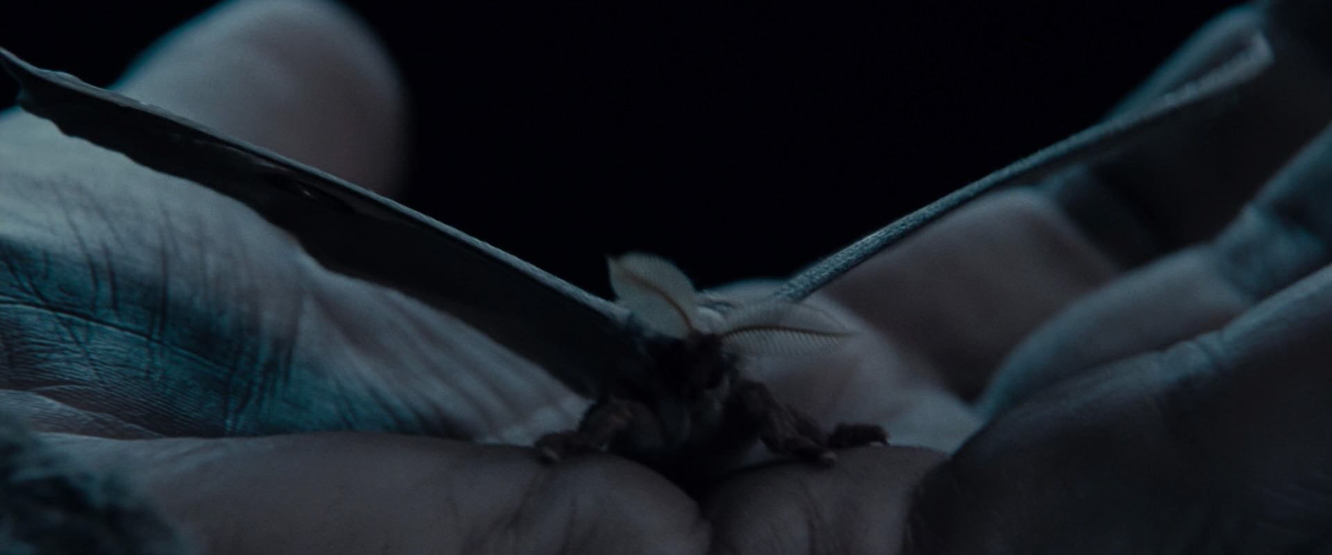 The Lord of the Rings: The Fellowship of the Ring (2001) screencap 8895