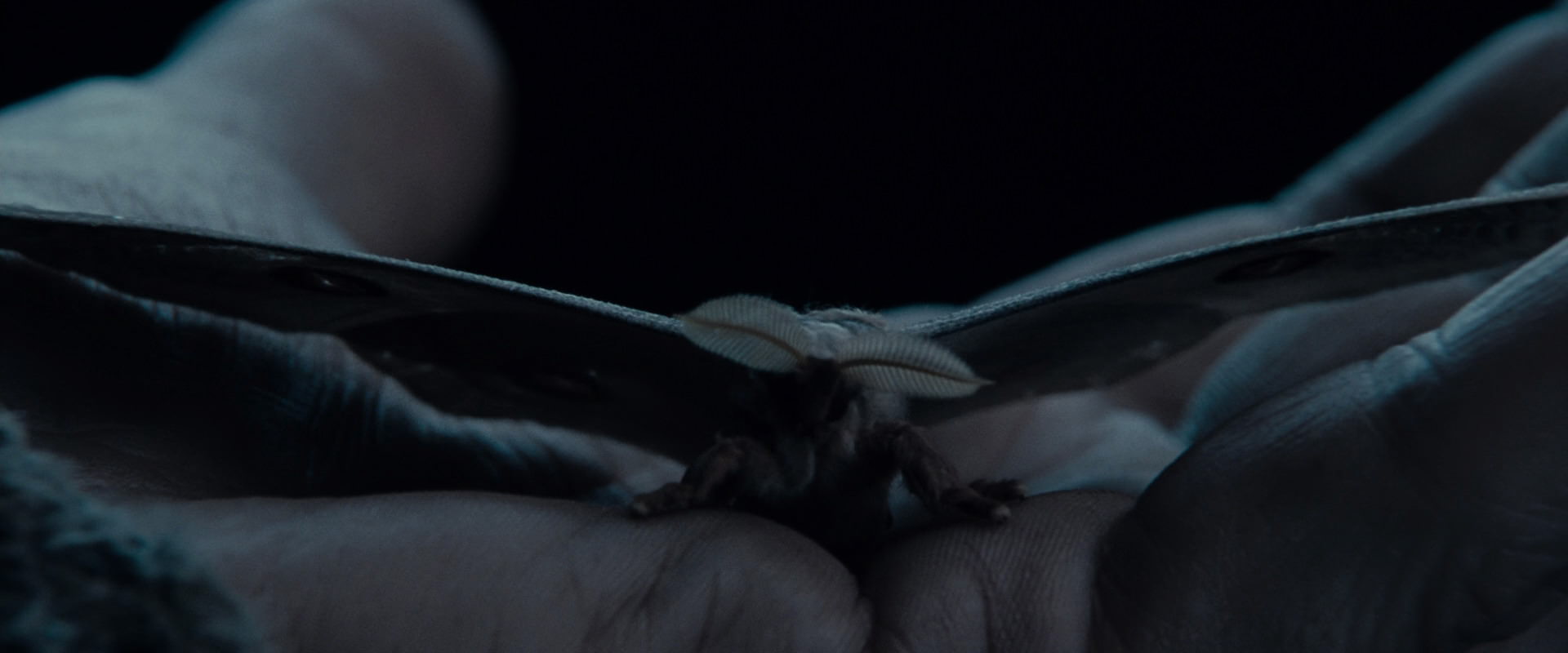 The Lord of the Rings: The Fellowship of the Ring (2001) screencap 8898