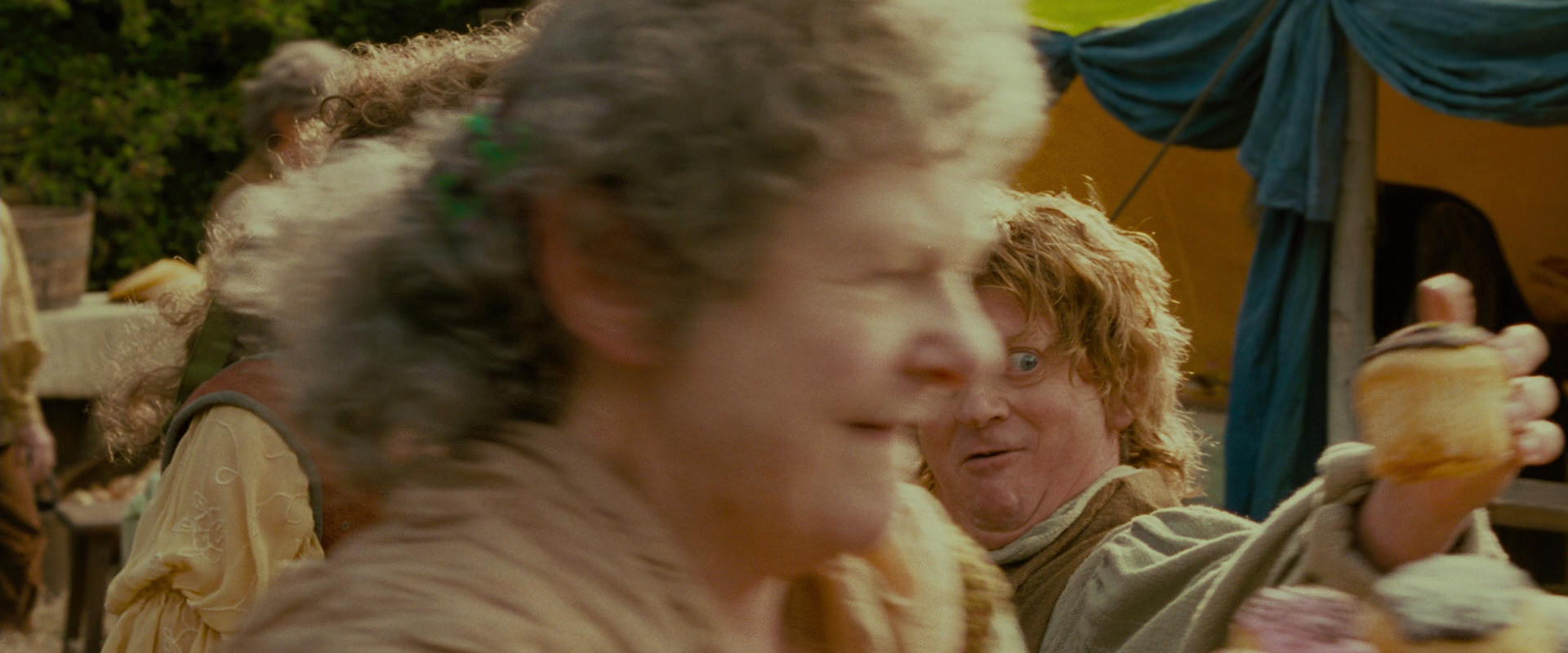 The Lord of the Rings: The Fellowship of the Ring (2001) HD screenshot 893