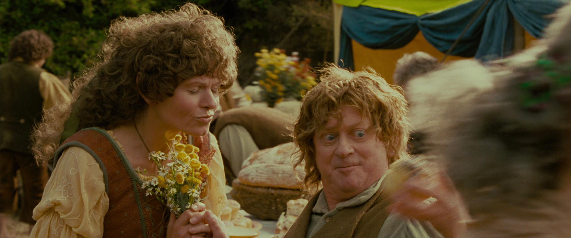 The Lord of the Rings: The Fellowship of the Ring (2001) screencap 894