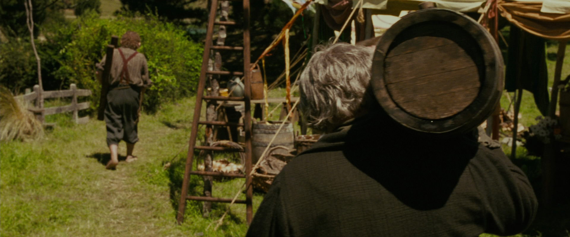 The Lord of the Rings: The Fellowship of the Ring (2001) screencap 900