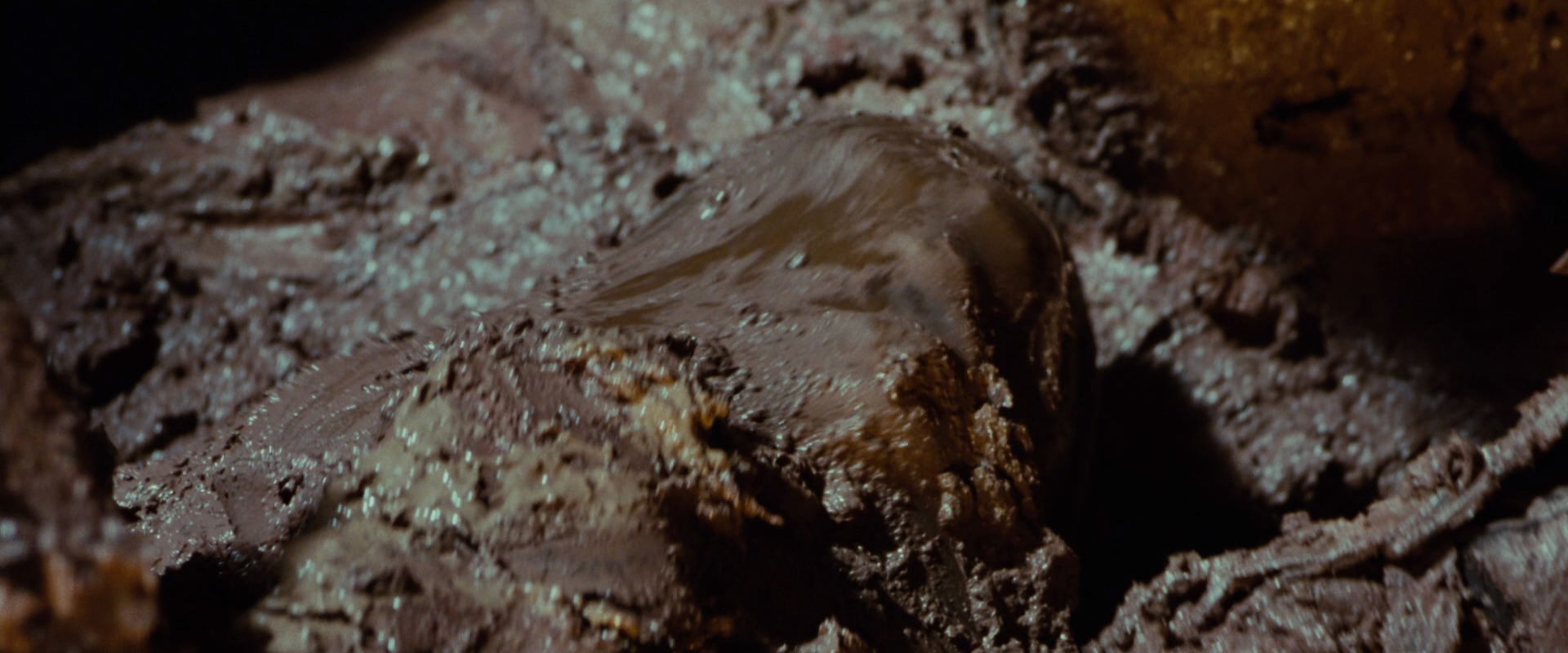 The Lord of the Rings: The Fellowship of the Ring (2001) screencap 9009