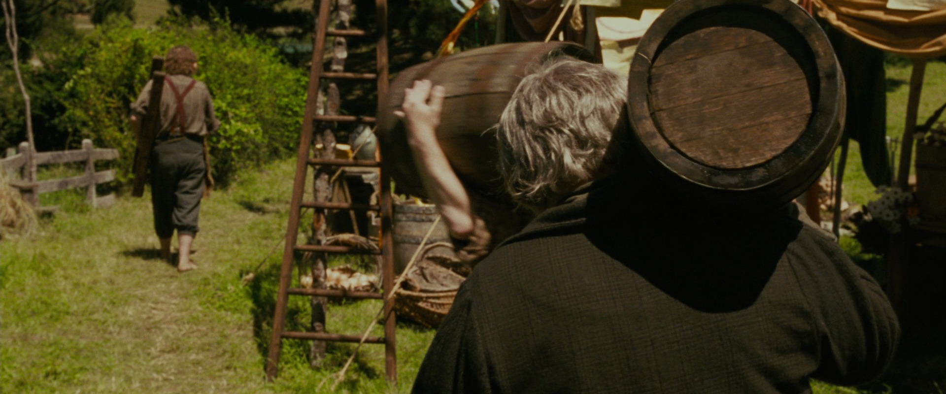 The Lord of the Rings: The Fellowship of the Ring (2001) movie still 901