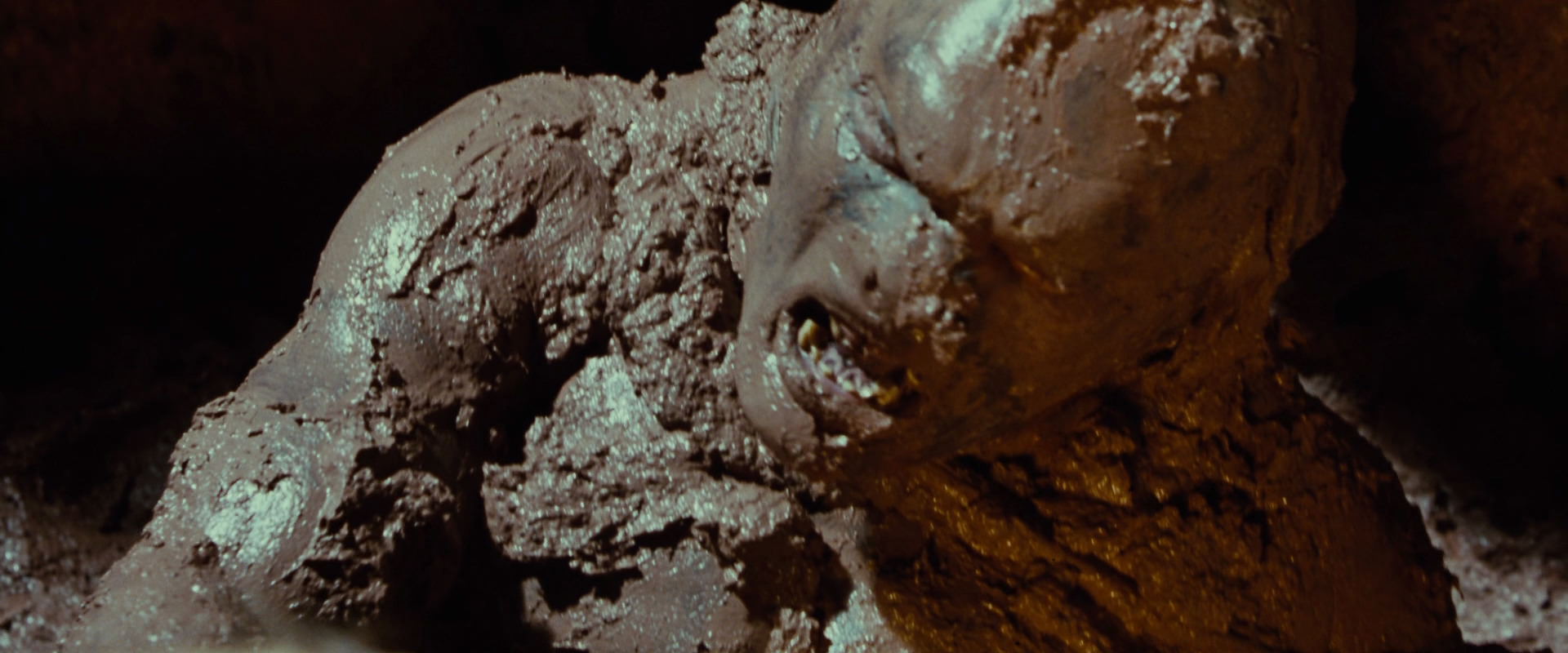 The Lord of the Rings: The Fellowship of the Ring (2001) HD screenshot 9029
