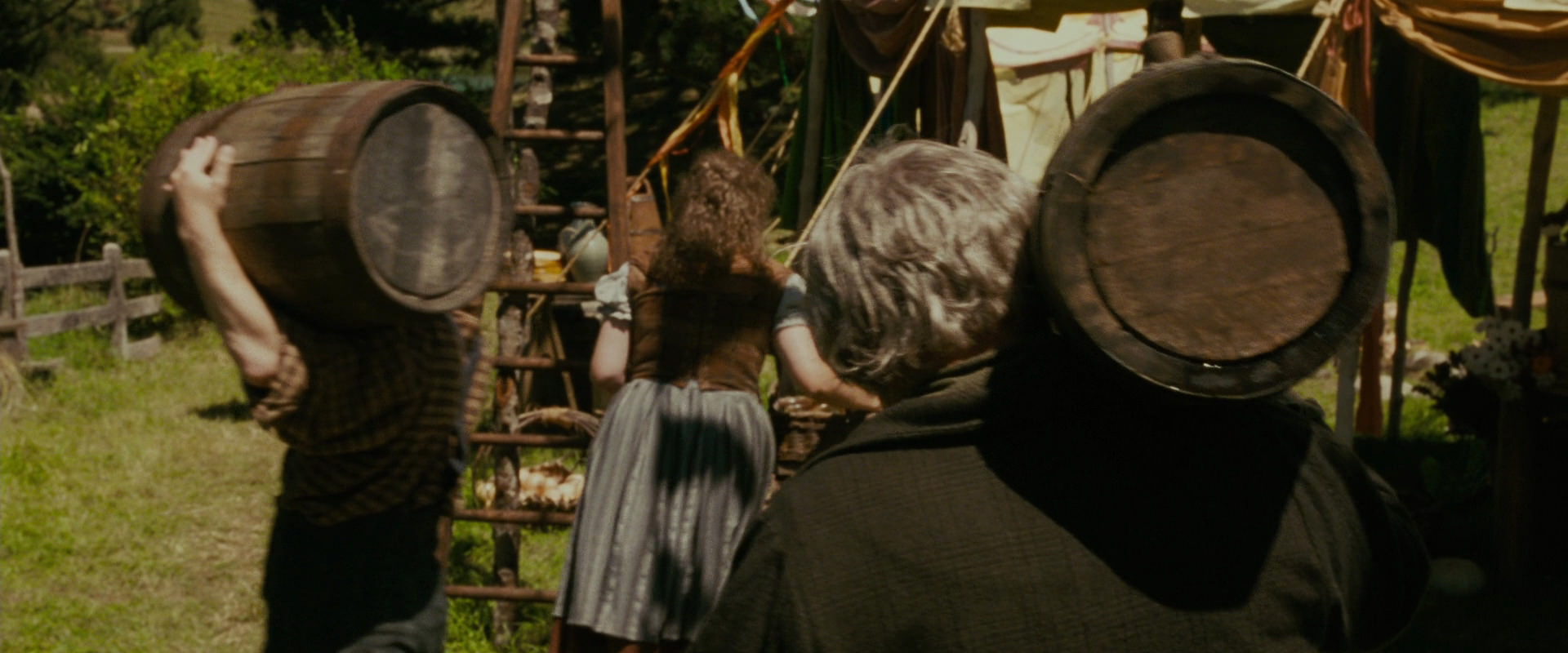 The Lord of the Rings: The Fellowship of the Ring (2001) screencap 903