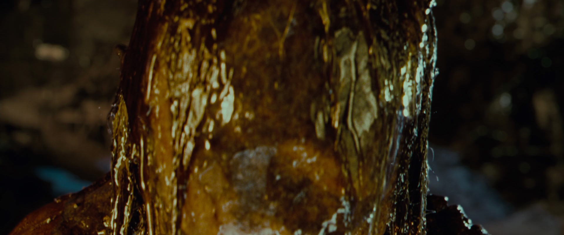 The Lord of the Rings: The Fellowship of the Ring (2001) HD screenshot 9038