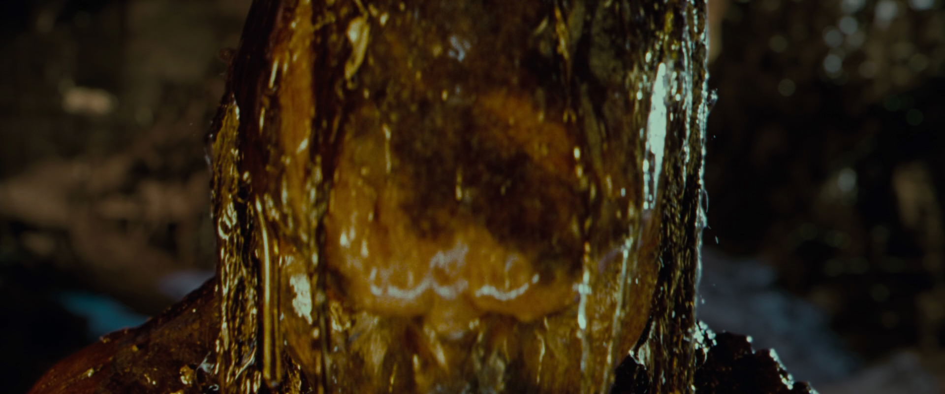 The Lord of the Rings: The Fellowship of the Ring (2001) screencap 9039