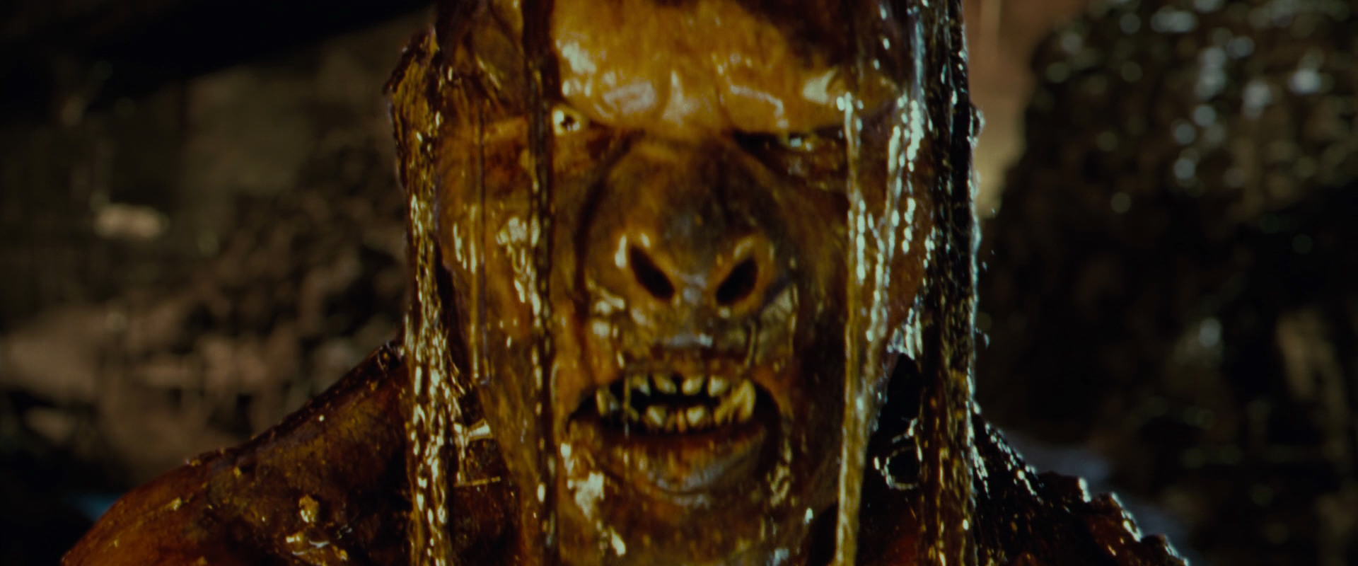 The Lord of the Rings: The Fellowship of the Ring (2001) HD screenshot 9041