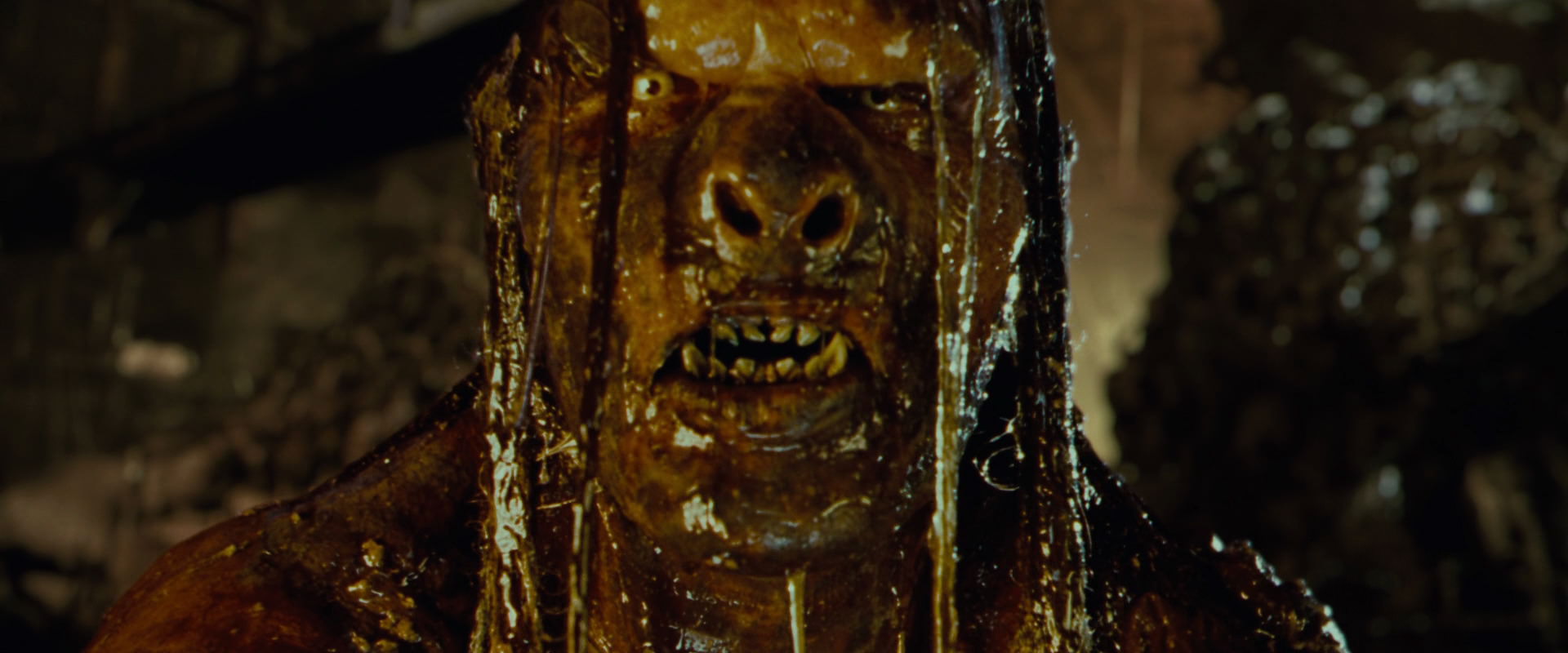 The Lord of the Rings: The Fellowship of the Ring (2001) screencap 9042
