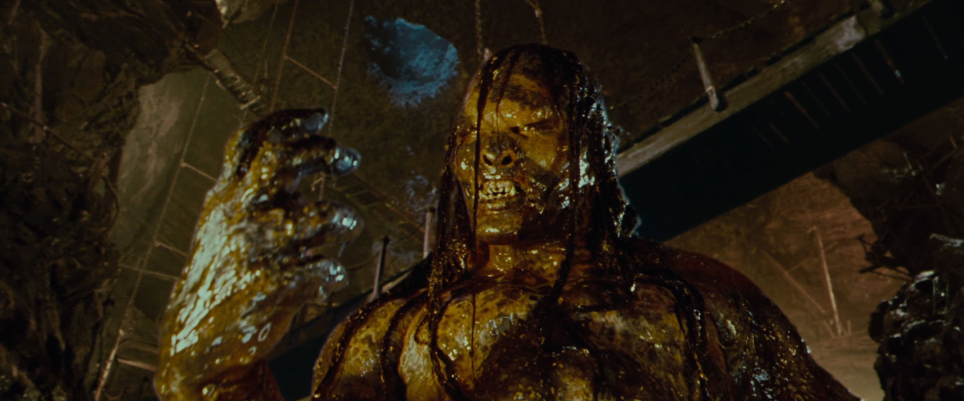 The Lord of the Rings: The Fellowship of the Ring (2001) screencap 9069