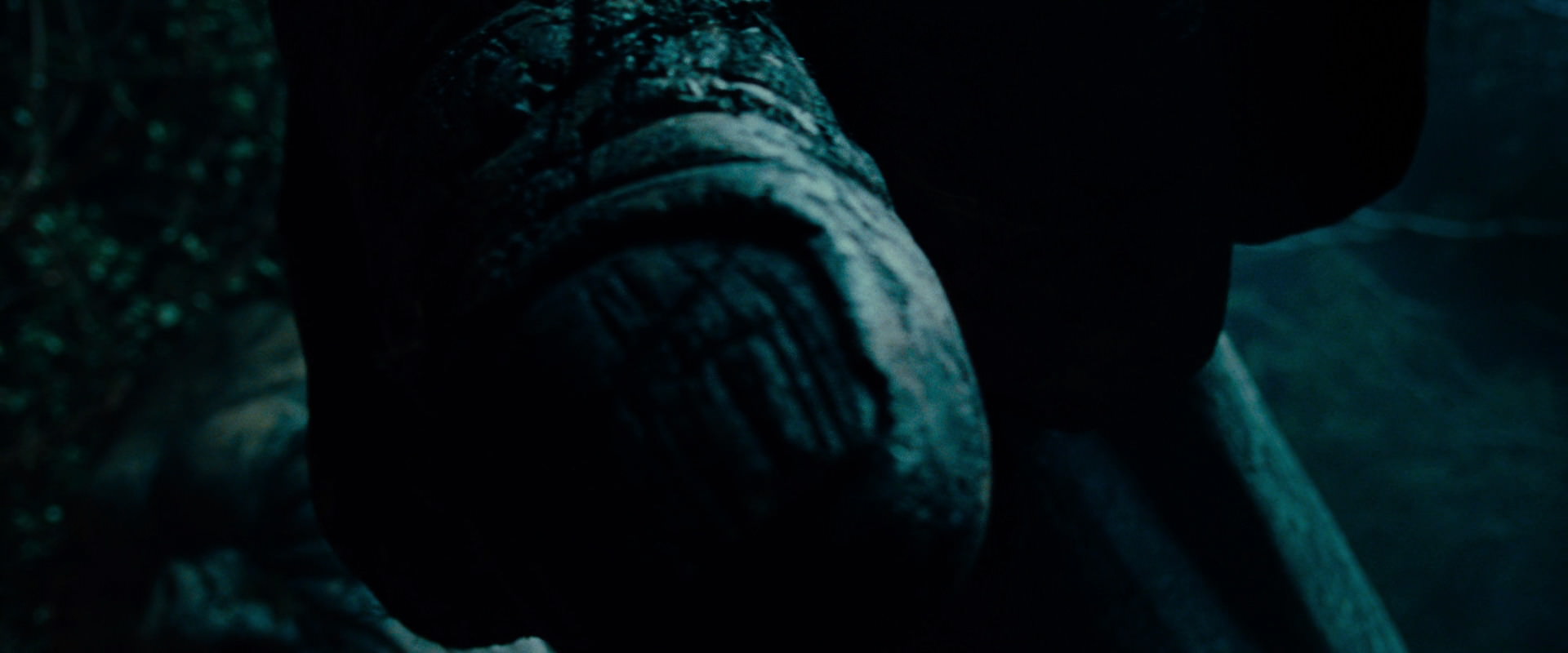 The Lord of the Rings: The Fellowship of the Ring (2001) screencap 9075