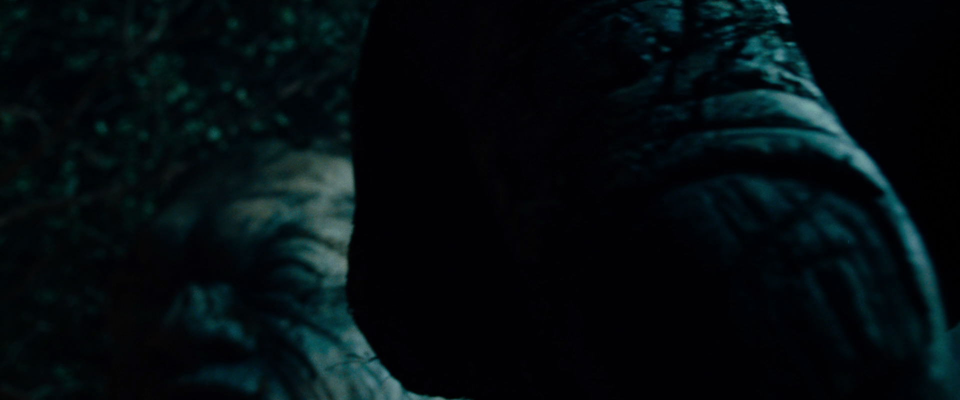 The Lord of the Rings: The Fellowship of the Ring (2001) HD screenshot 9077