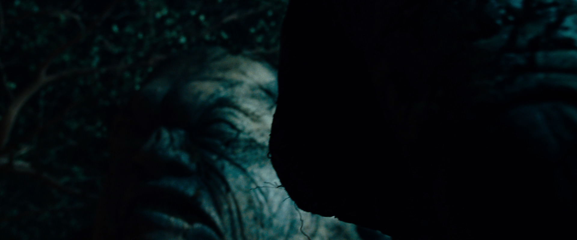 The Lord of the Rings: The Fellowship of the Ring (2001) screencap 9078