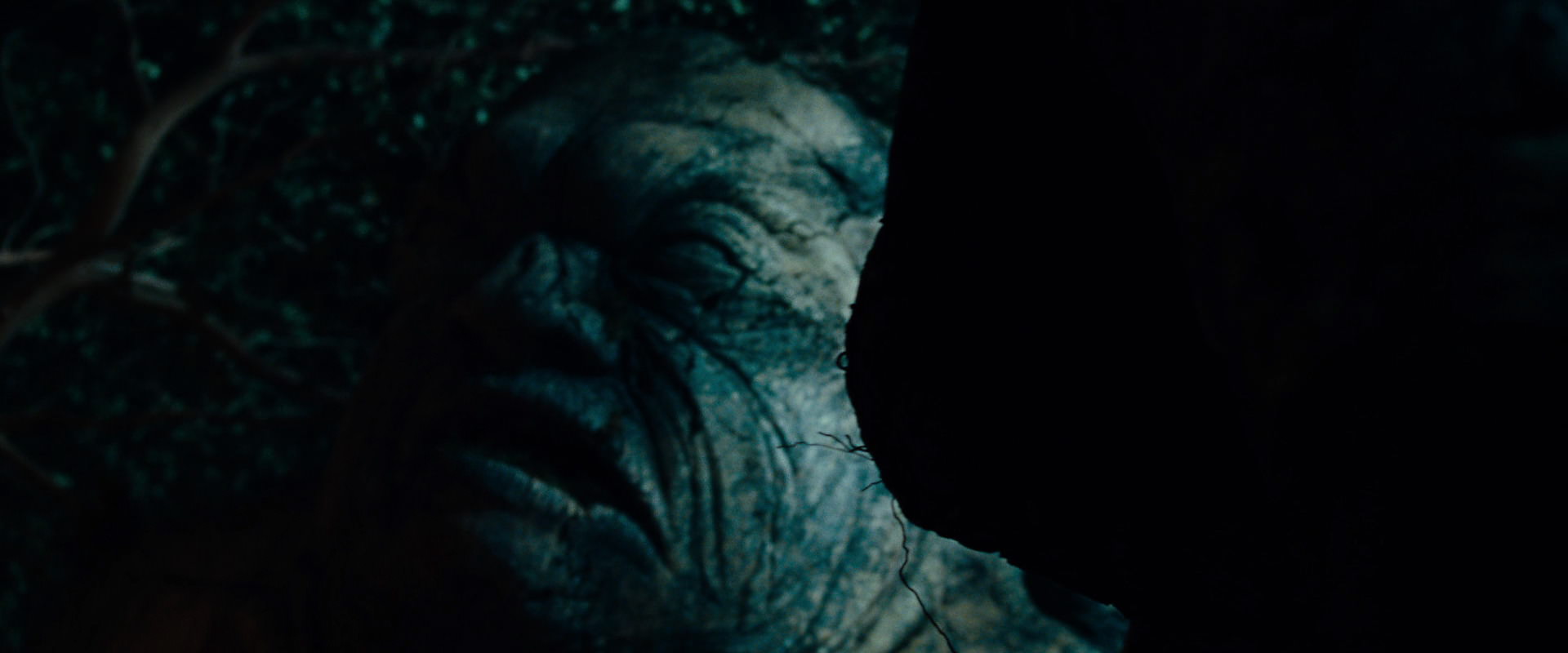 The Lord of the Rings: The Fellowship of the Ring (2001) movie still 9079