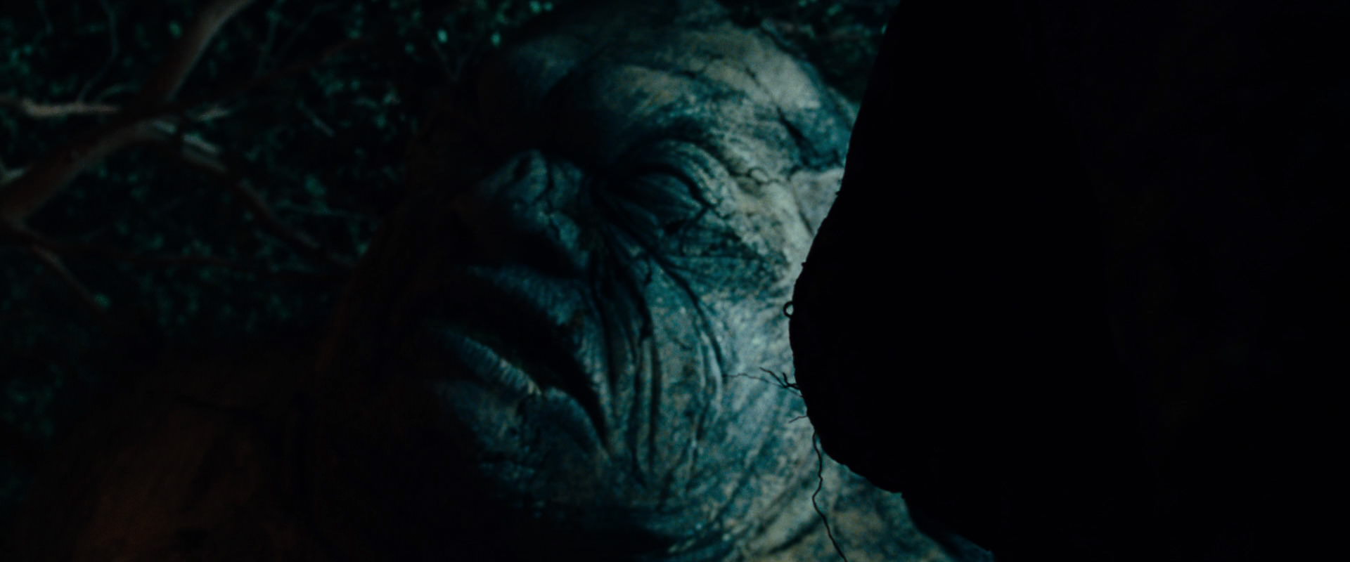 The Lord of the Rings: The Fellowship of the Ring (2001) HD screenshot 9080