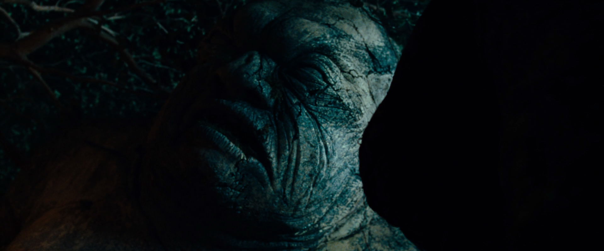 The Lord of the Rings: The Fellowship of the Ring (2001) screencap 9081