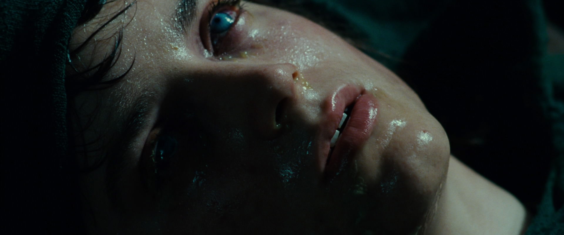 The Lord of the Rings: The Fellowship of the Ring (2001) screencap 9084
