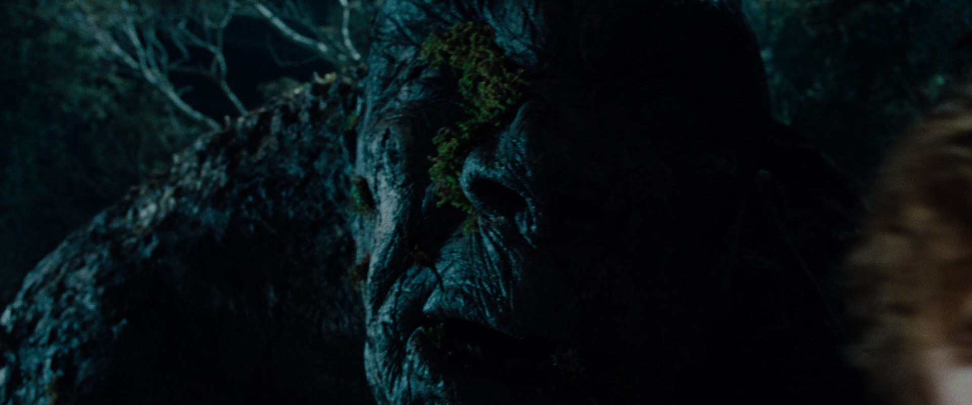 The Lord of the Rings: The Fellowship of the Ring (2001) movie still 9088