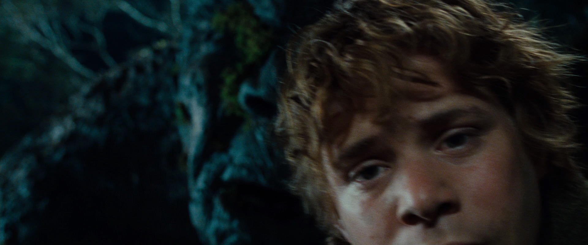 The Lord of the Rings: The Fellowship of the Ring (2001) HD screenshot 9089
