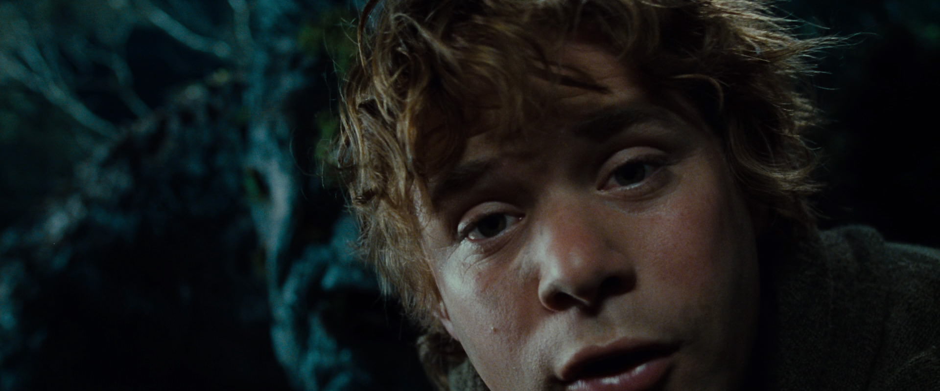 The Lord of the Rings: The Fellowship of the Ring (2001) screencap 9090