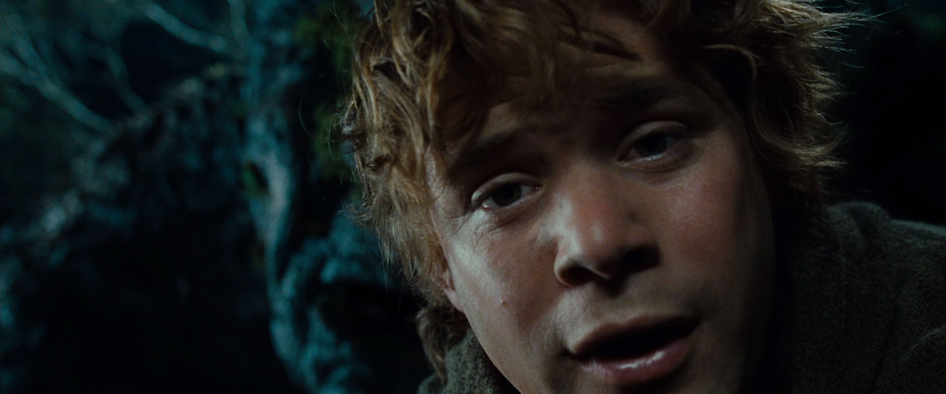 The Lord of the Rings: The Fellowship of the Ring (2001) movie still 9091