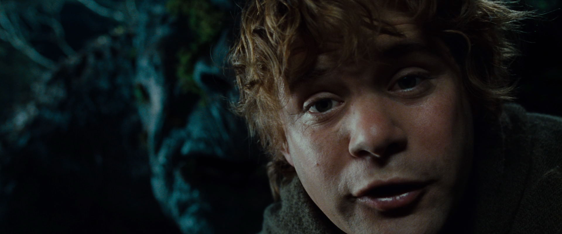 The Lord of the Rings: The Fellowship of the Ring (2001) screencap 9093