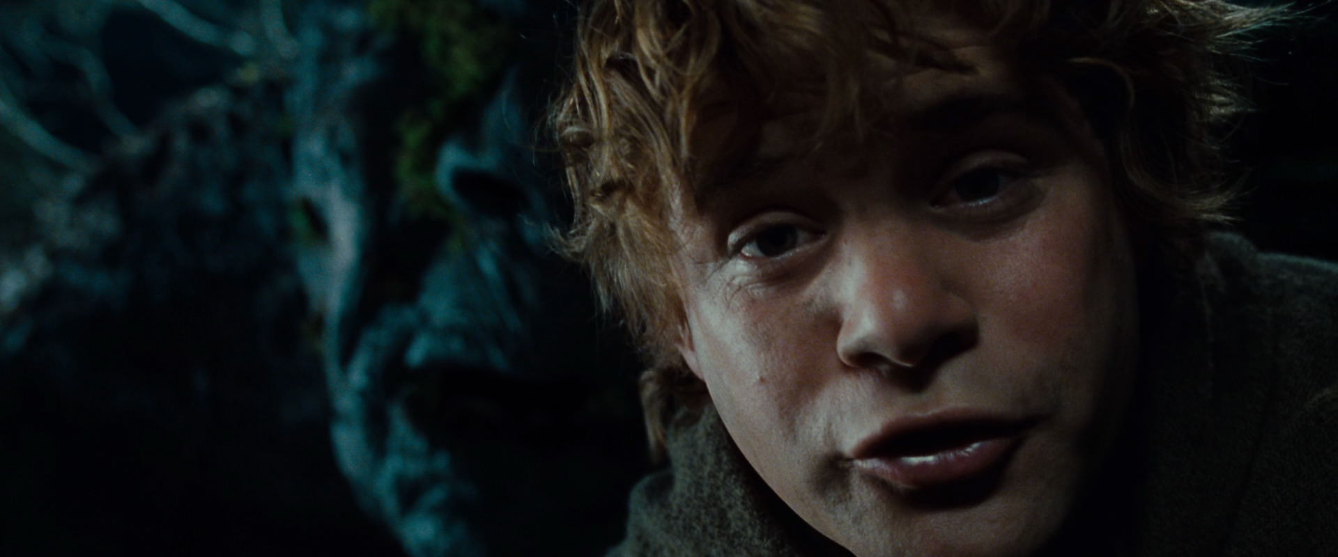The Lord of the Rings: The Fellowship of the Ring (2001) movie still 9094