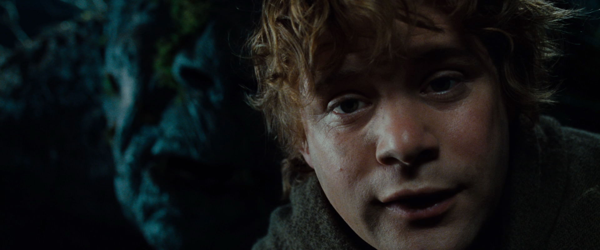 The Lord of the Rings: The Fellowship of the Ring (2001) screencap 9096