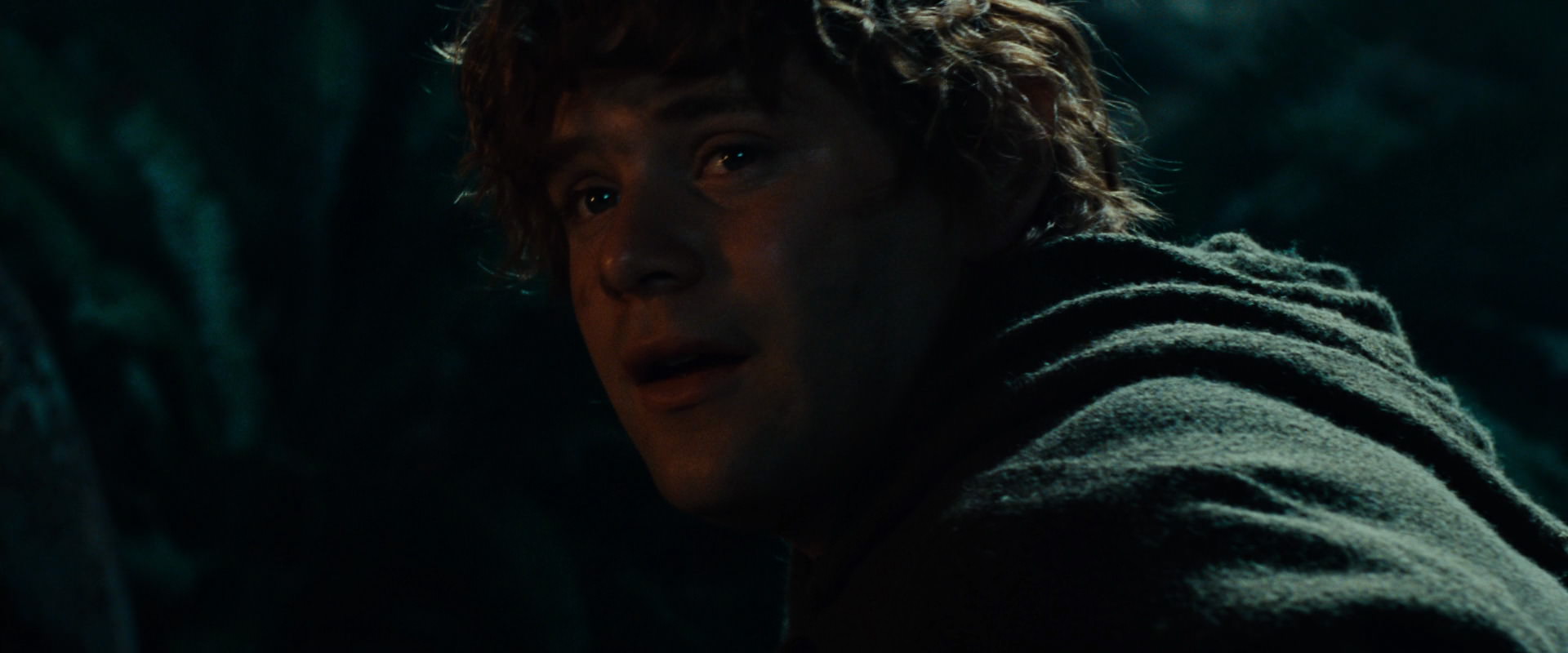 The Lord of the Rings: The Fellowship of the Ring (2001) HD screenshot 9104