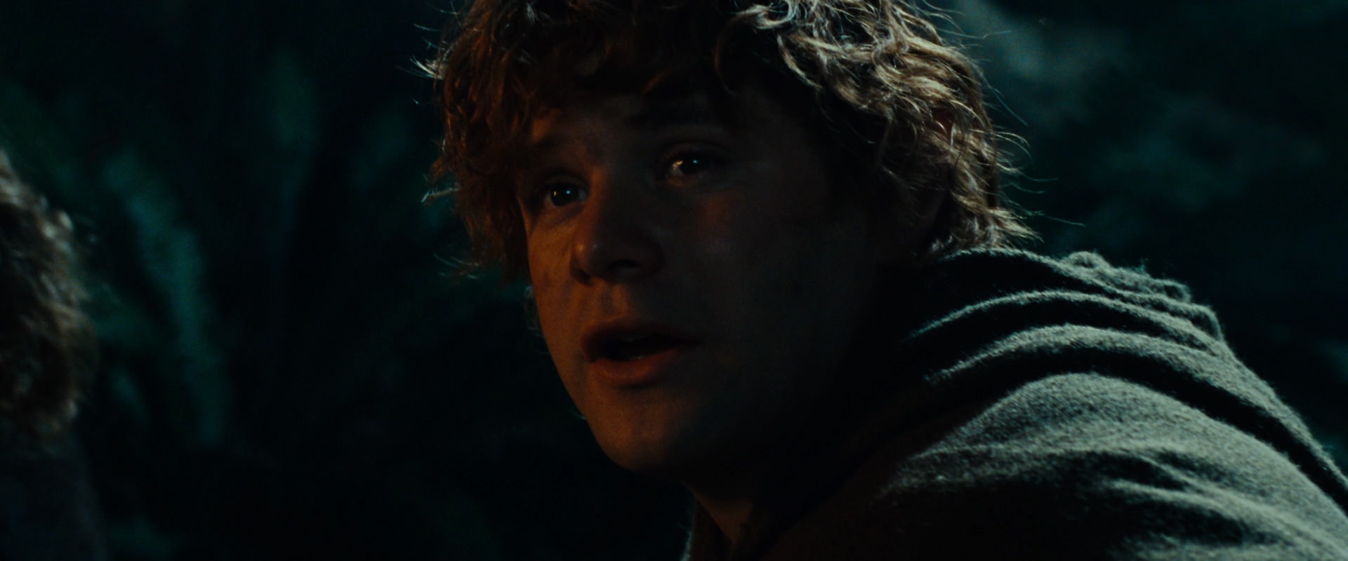 The Lord of the Rings: The Fellowship of the Ring (2001) screencap 9105