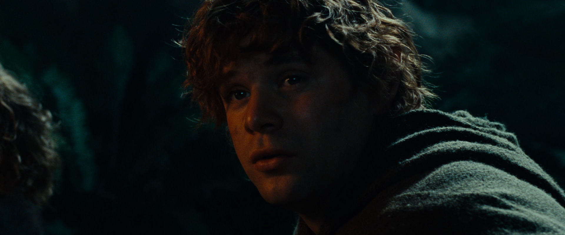 The Lord of the Rings: The Fellowship of the Ring (2001) movie still 9106