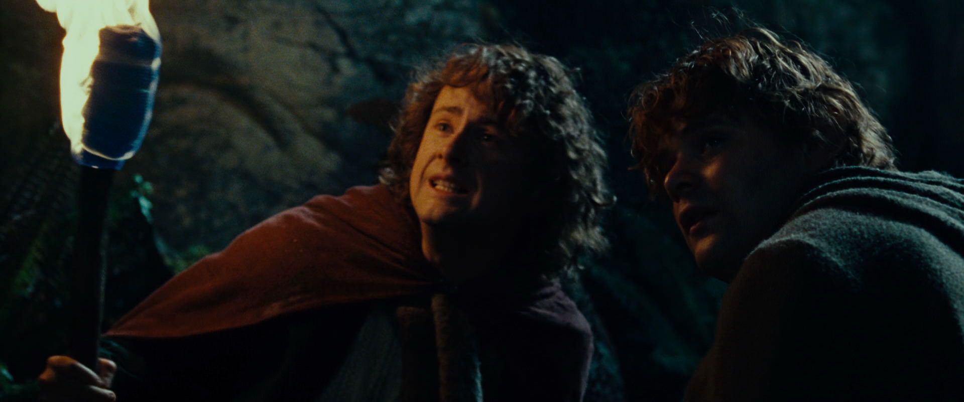 The Lord of the Rings: The Fellowship of the Ring (2001) movie still 9112