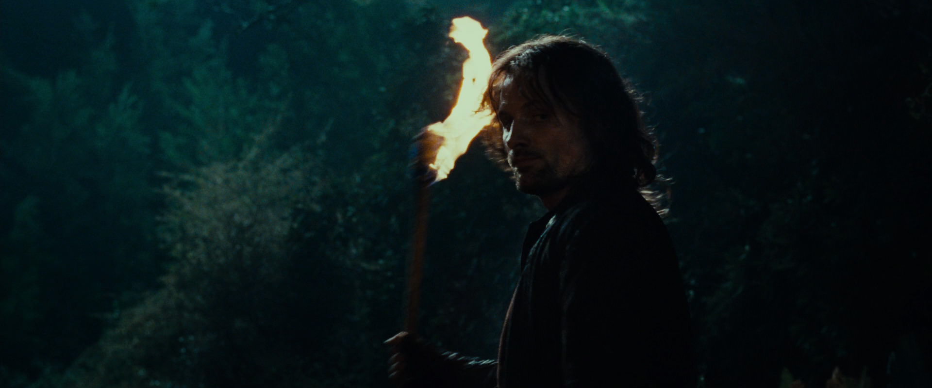 The Lord of the Rings: The Fellowship of the Ring (2001) screencap 9114