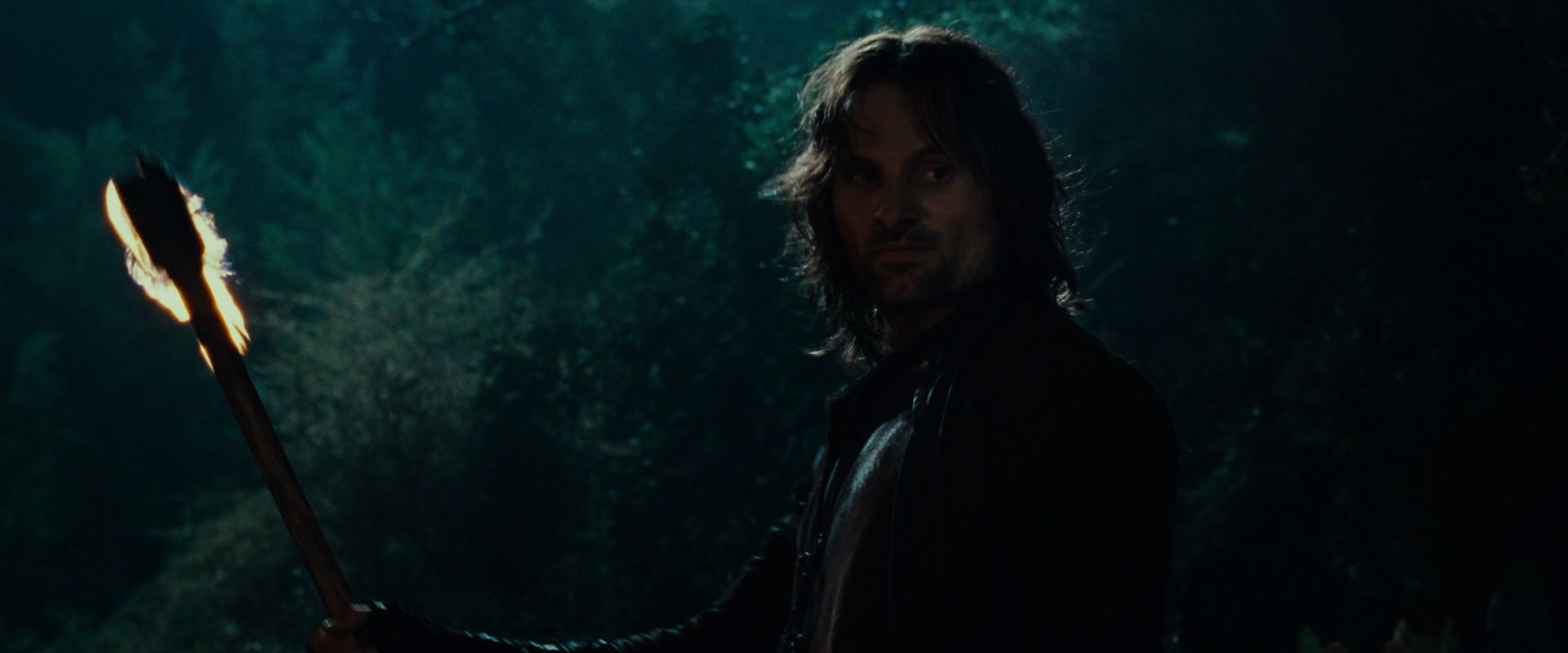 The Lord of the Rings: The Fellowship of the Ring (2001) movie still 9115