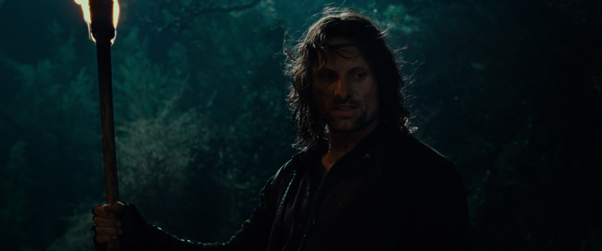 The Lord of the Rings: The Fellowship of the Ring (2001) screencap 9117