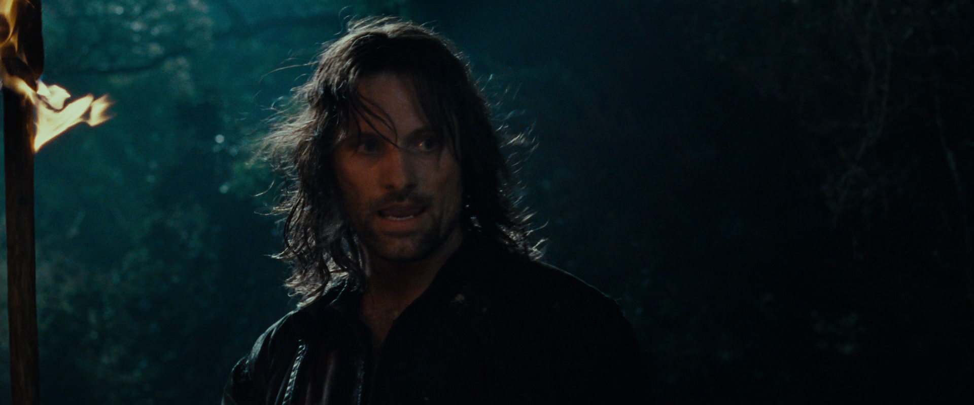 The Lord of the Rings: The Fellowship of the Ring (2001) screencap 9138