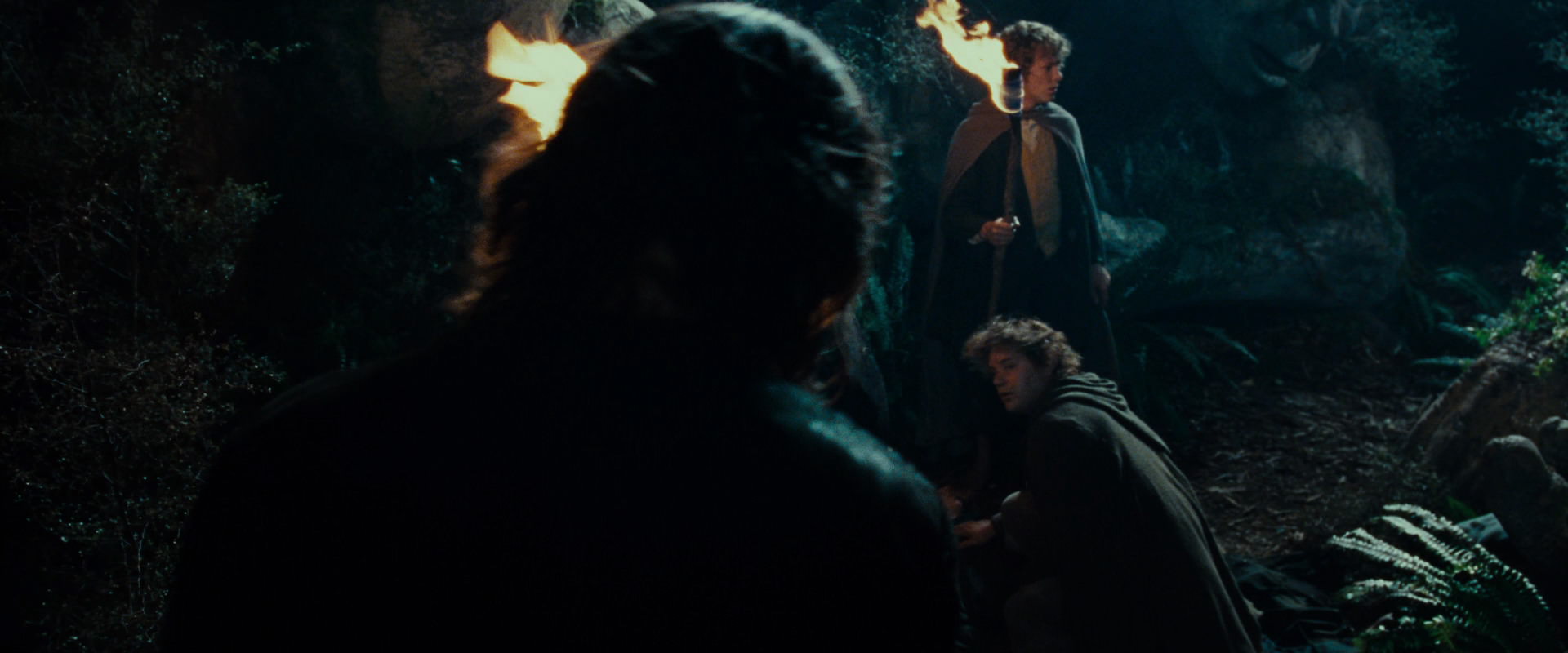 The Lord of the Rings: The Fellowship of the Ring (2001) movie still 9139