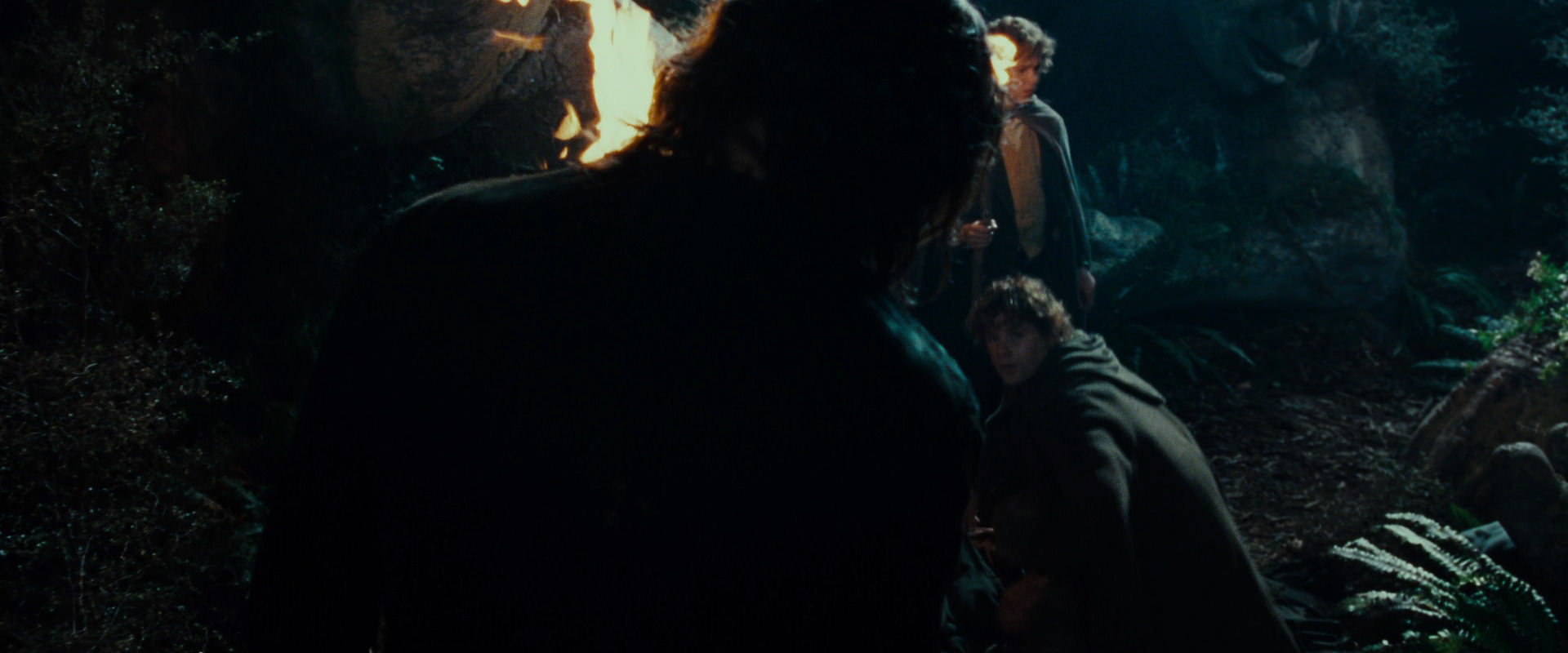 The Lord of the Rings: The Fellowship of the Ring (2001) HD screenshot 9140