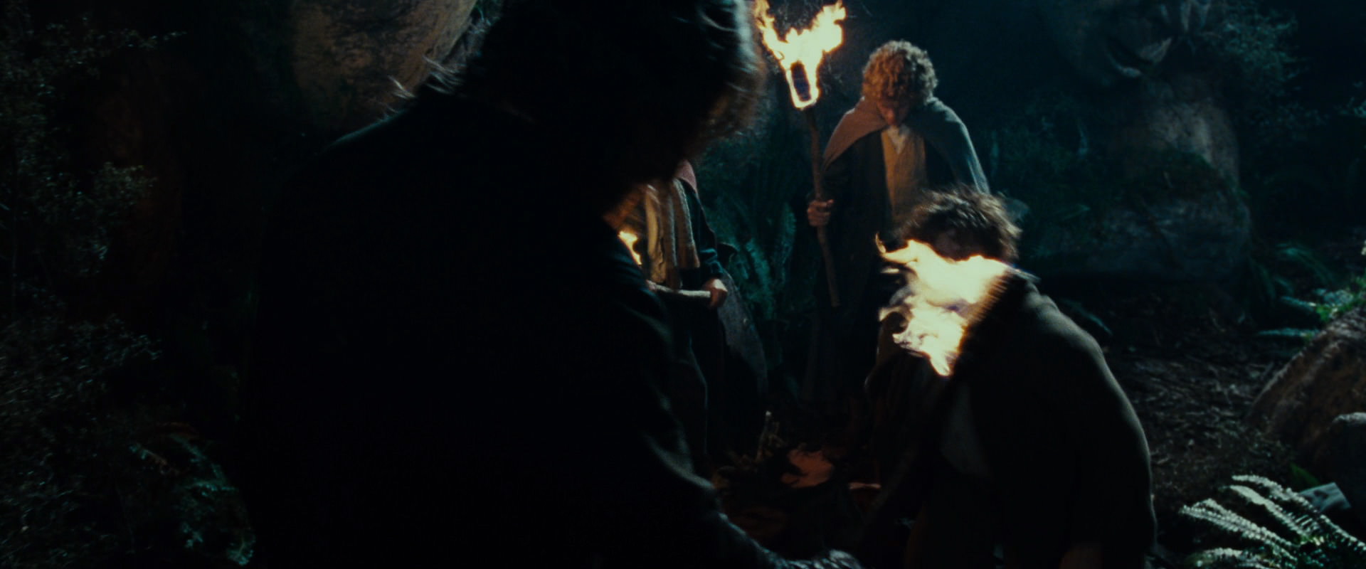 The Lord of the Rings: The Fellowship of the Ring (2001) screencap 9141
