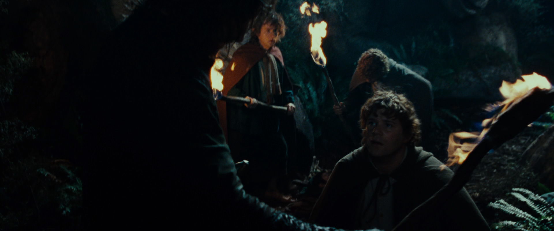 The Lord of the Rings: The Fellowship of the Ring (2001) movie still 9142