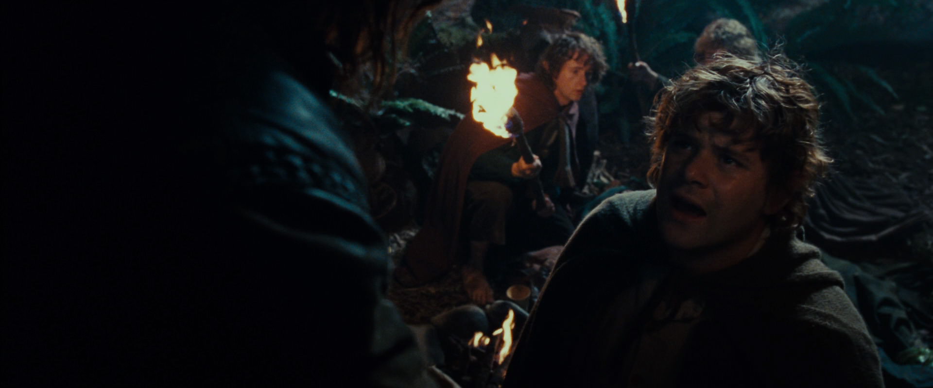 The Lord of the Rings: The Fellowship of the Ring (2001) screencap 9144