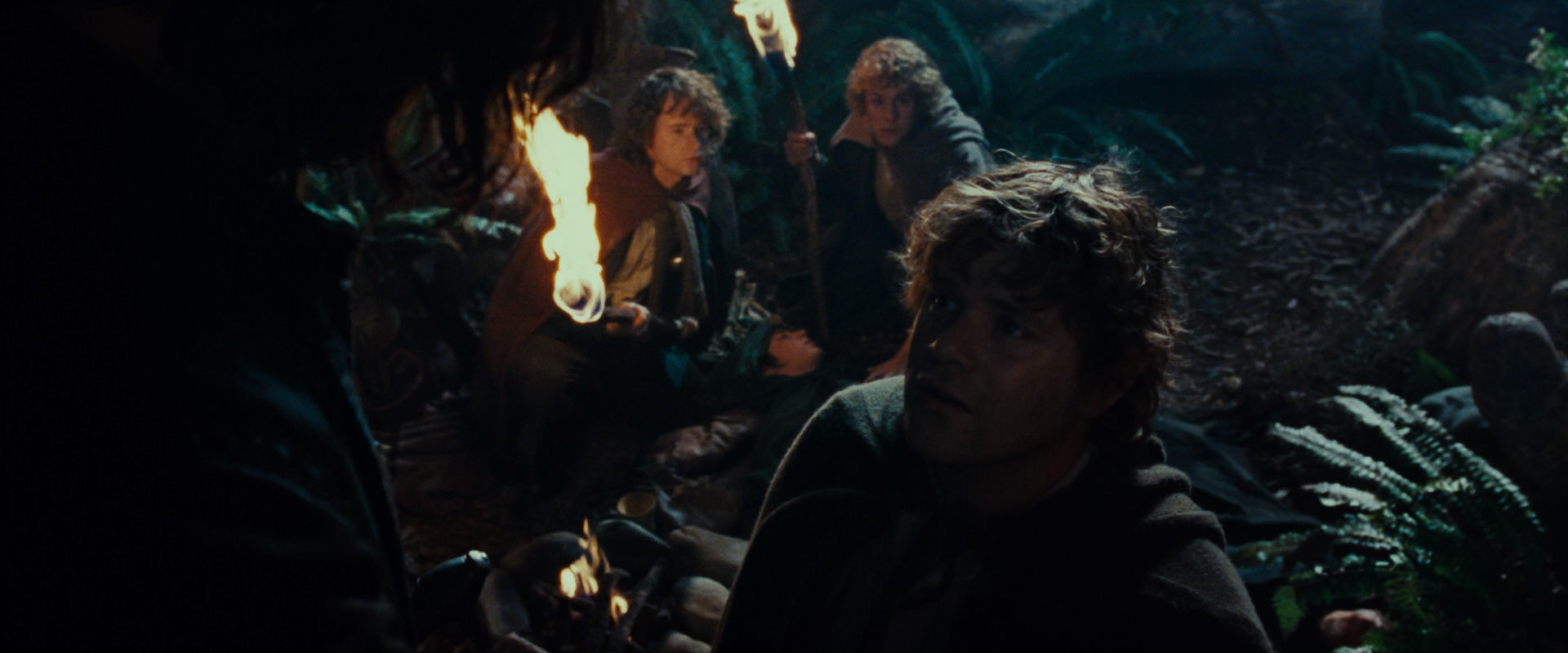 The Lord of the Rings: The Fellowship of the Ring (2001) screencap 9147