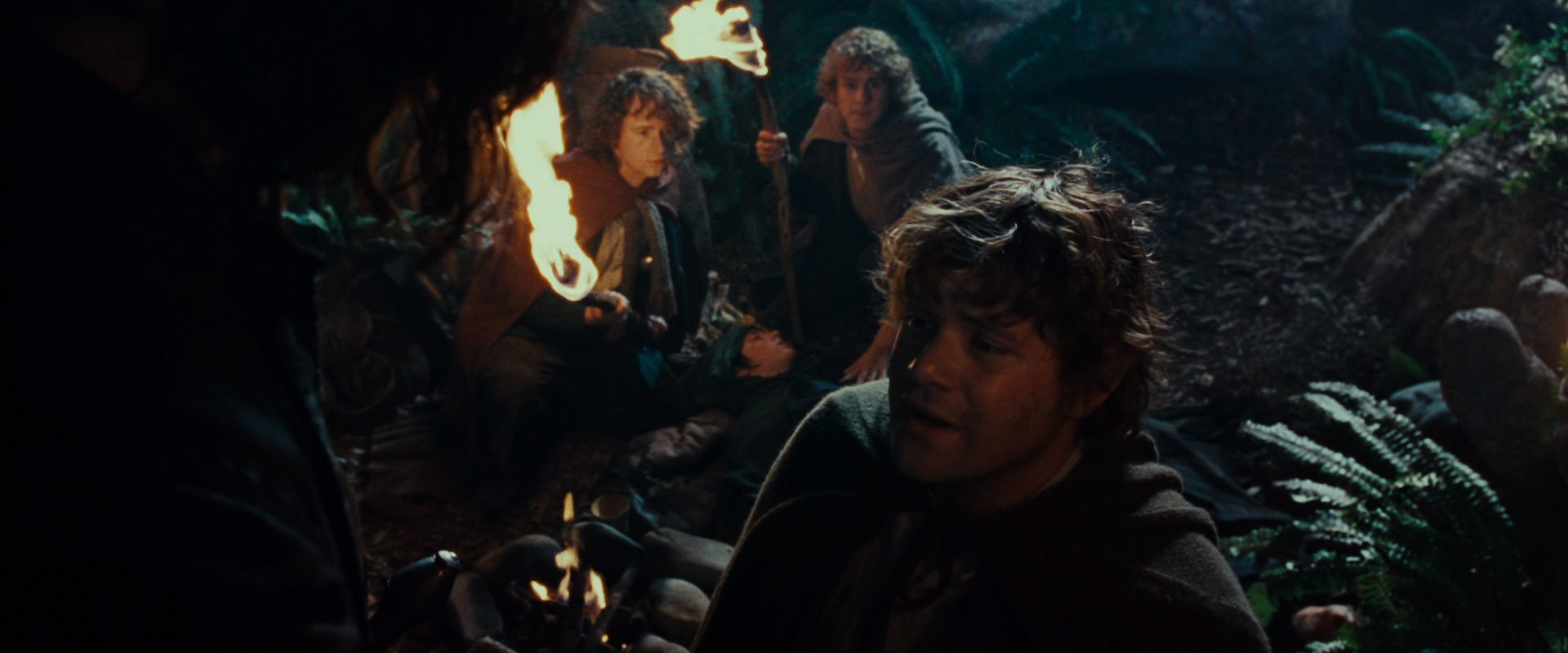 The Lord of the Rings: The Fellowship of the Ring (2001) HD screenshot 9149