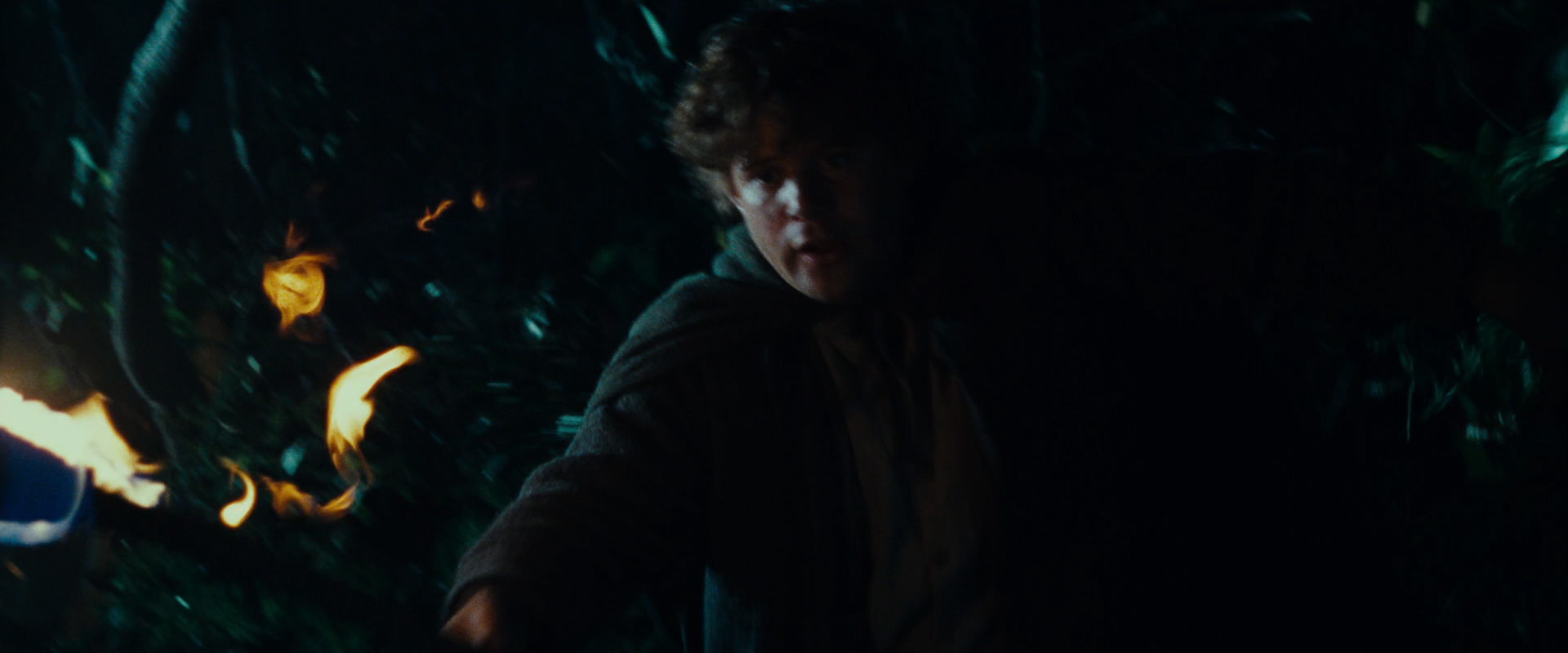 The Lord of the Rings: The Fellowship of the Ring (2001) screencap 9156