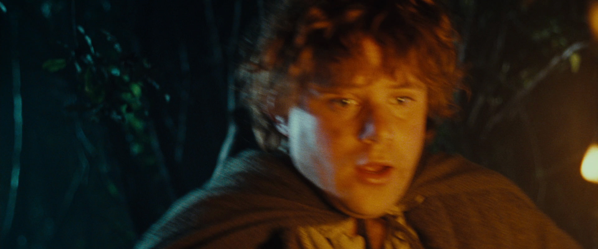 The Lord of the Rings: The Fellowship of the Ring (2001) HD screenshot 9158