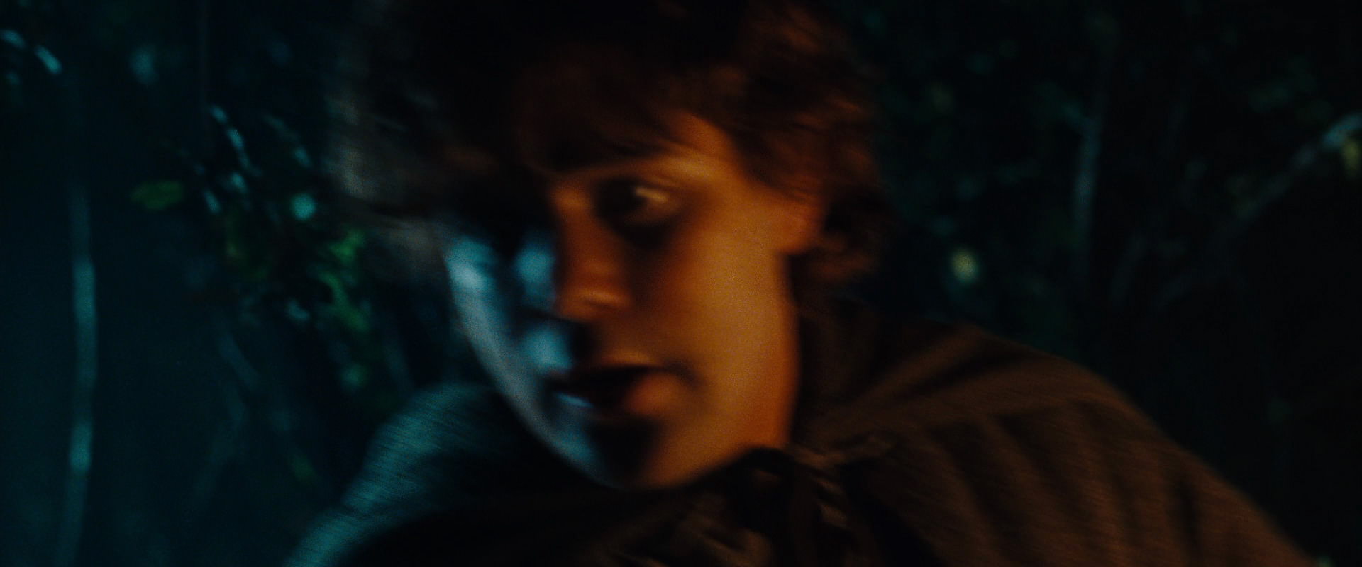 The Lord of the Rings: The Fellowship of the Ring (2001) screencap 9159