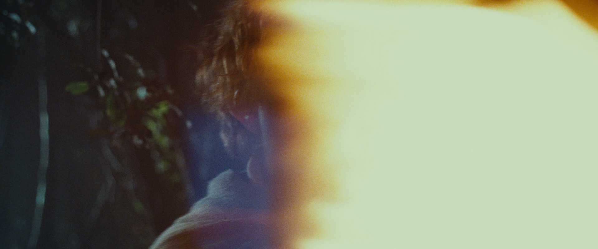 The Lord of the Rings: The Fellowship of the Ring (2001) movie still 9160