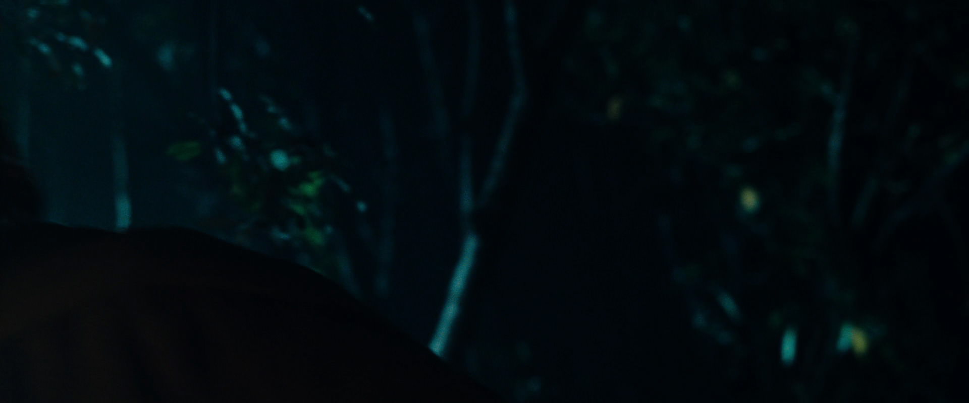 The Lord of the Rings: The Fellowship of the Ring (2001) HD screenshot 9161